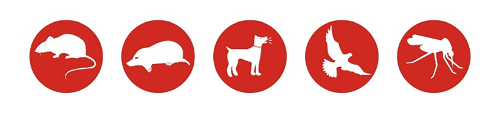 Antirozatoare Categorii